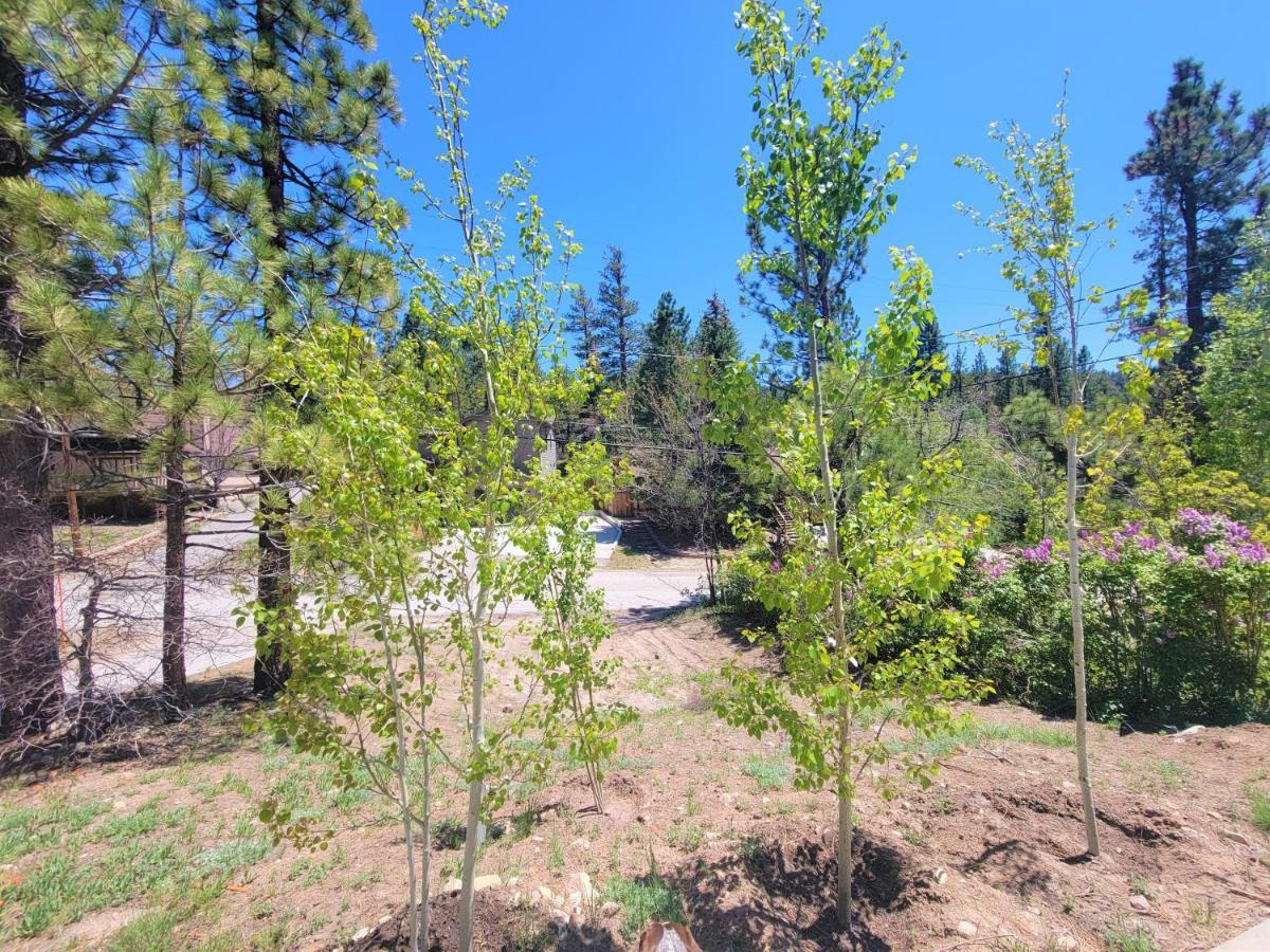 Four Seasons Getaway-Private Hot Spa With Pine Tree Views-Walk To Village And Pineknot Trailhead-Plus King Bed! Big Bear Lake Esterno foto